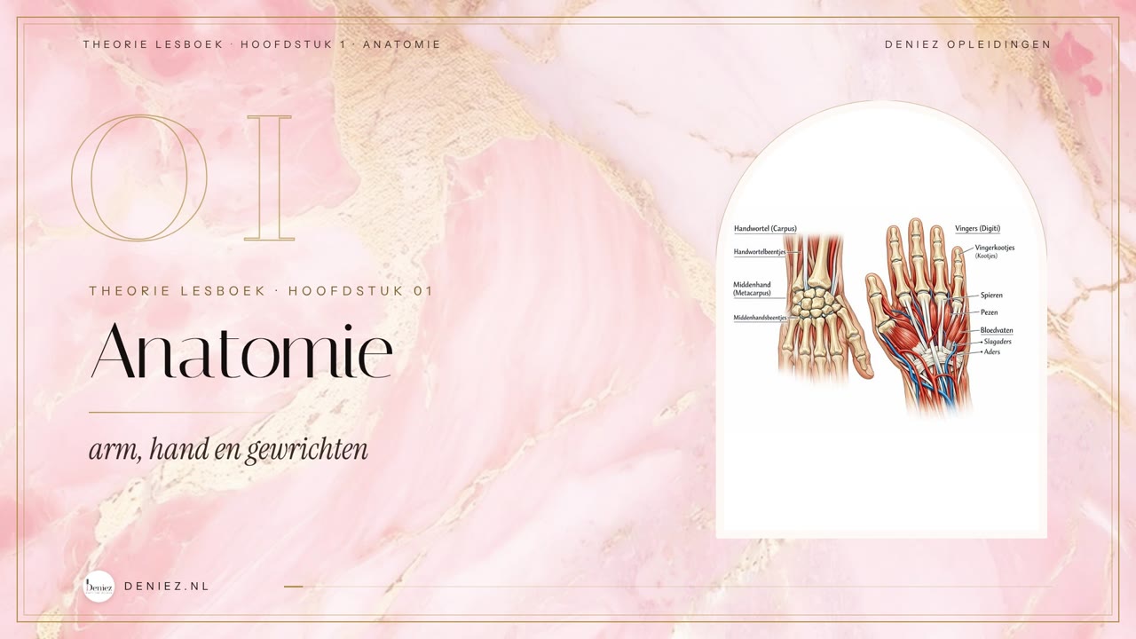 Online theorie-opleiding nagelstyling van Deniez